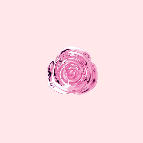 Pink Roses Training Set