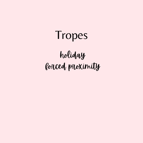 A Novel Christmas