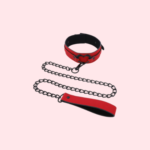 Amor Collar and Leash