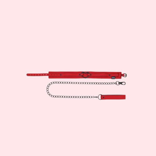 Amor Collar and Leash