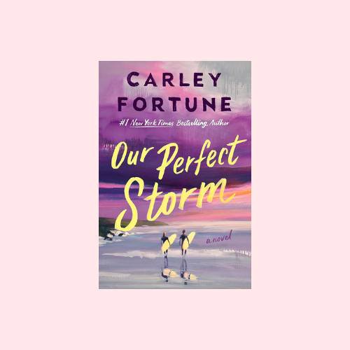 Our Perfect Storm (Hardcover)