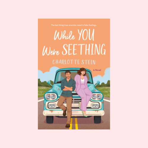 While You Were Seething